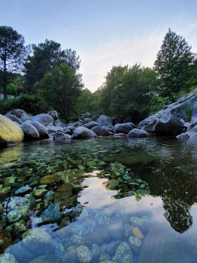 Ferienwohnung La Estrella De Gredos Guisando Exterior foto